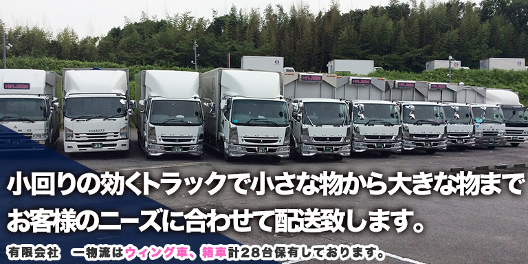 フラッシュ3